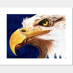 Eagle Watercolor Portrait Posters and Art